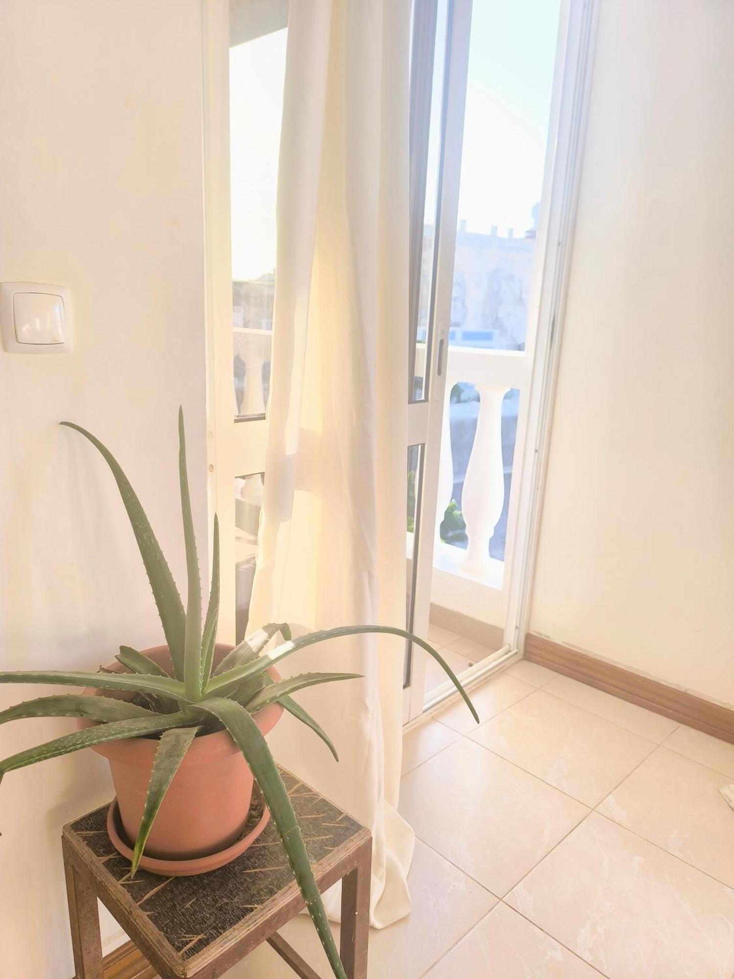Casa Sofia Daire Mindelo Dış mekan fotoğraf